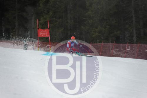 BJT 9595 DxO
