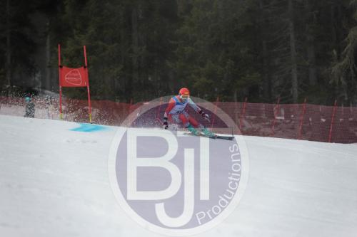 BJT 9596 DxO