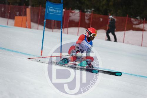 BJT 9598 DxO