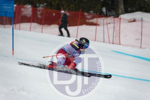 BJT 9605 DxO