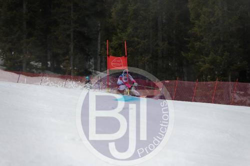 BJT 9606 DxO
