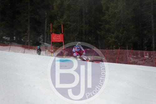 BJT 9607 DxO
