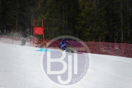 BJT 9613 DxO