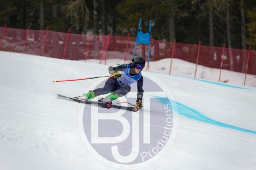 BJT 9614 DxO