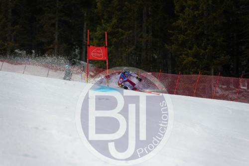 BJT 9617 DxO