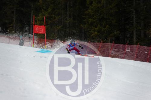 BJT 9618 DxO