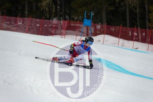 BJT 9619 DxO