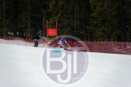 BJT 9624 DxO