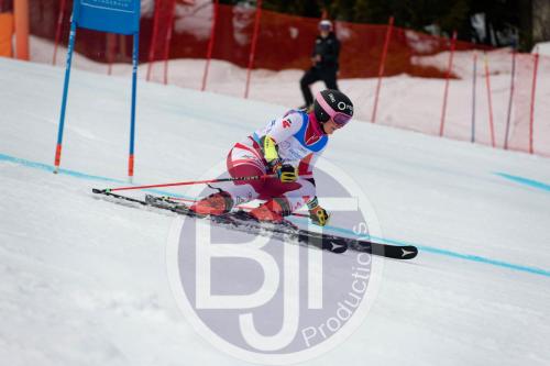 BJT 9628 DxO