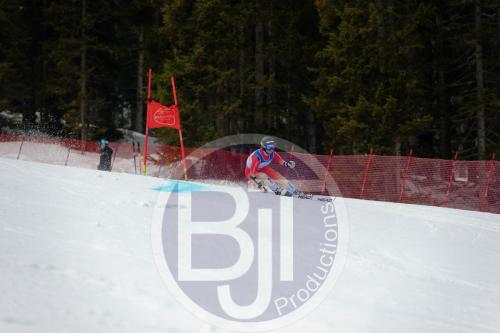 BJT 9629 DxO
