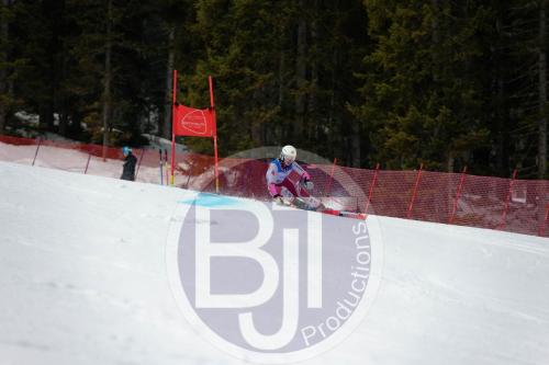 BJT 9634 DxO