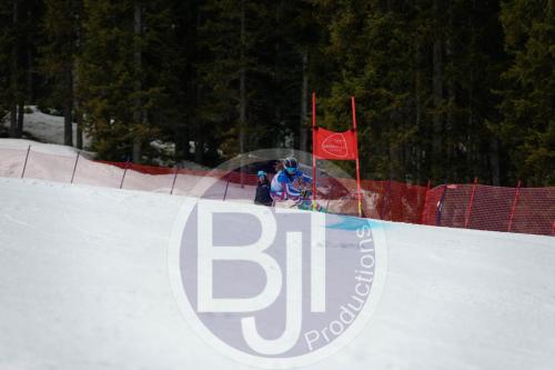 BJT 9639 DxO