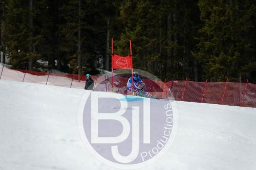 BJT 9640 DxO