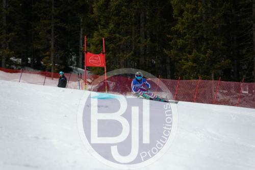 BJT 9641 DxO