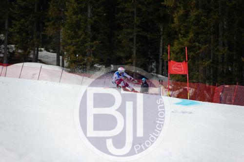 BJT 9645 DxO