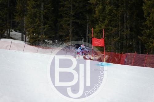 BJT 9646 DxO