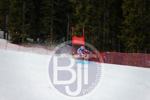 BJT 9647 DxO