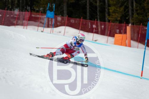 BJT 9648 DxO