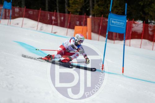 BJT 9649 DxO