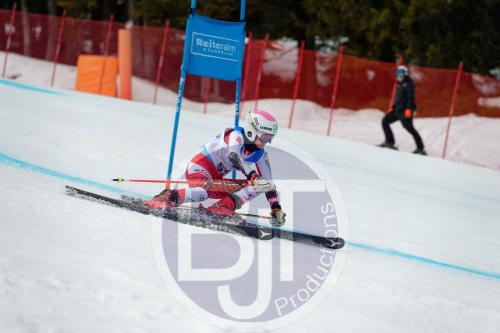 BJT 9650 DxO