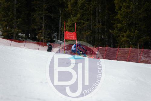 BJT 9651 DxO