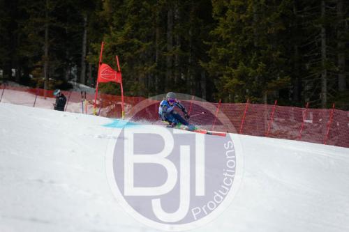 BJT 9652 DxO
