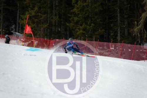 BJT 9653 DxO