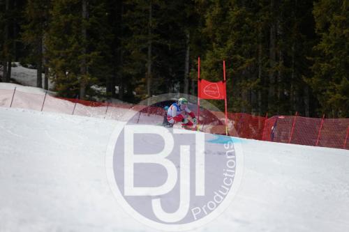 BJT 9668 DxO