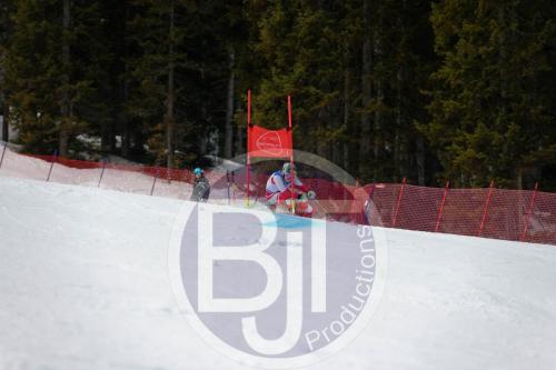 BJT 9669 DxO