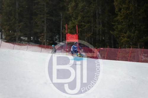 BJT 9673 DxO