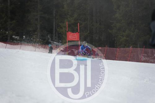 BJT 9680 DxO
