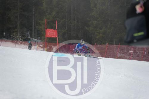 BJT 9681 DxO