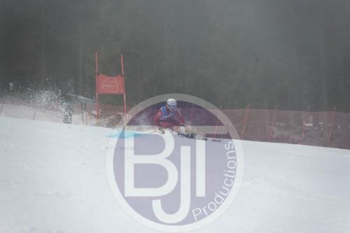BJT 9686 DxO
