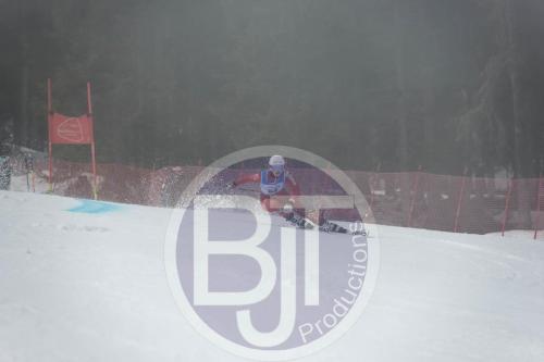 BJT 9688 DxO