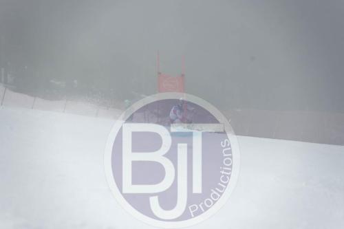 BJT 9694 DxO
