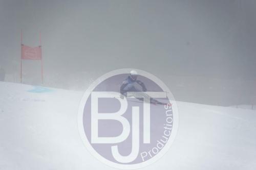 BJT 9699 DxO