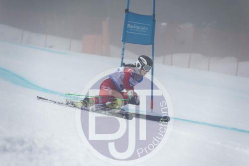 BJT 9708 DxO