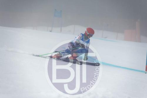 BJT 9712 DxO