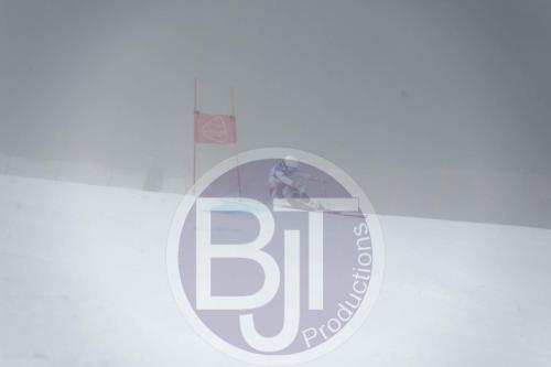 BJT 9715 DxO