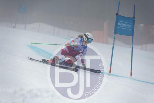 BJT 9717 DxO