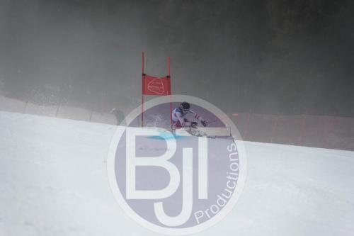 BJT 9720 DxO