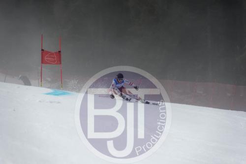 BJT 9722 DxO