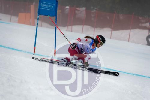 BJT 9725 DxO