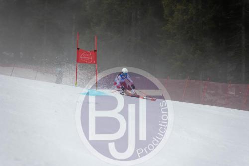 BJT 9727 DxO