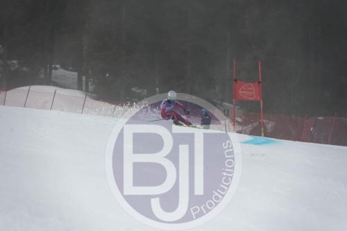 BJT 9731 DxO