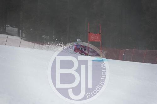 BJT 9732 DxO