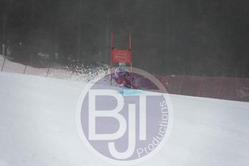 BJT 9733 DxO