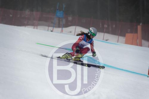 BJT 9735 DxO