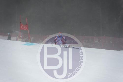 BJT 9738 DxO