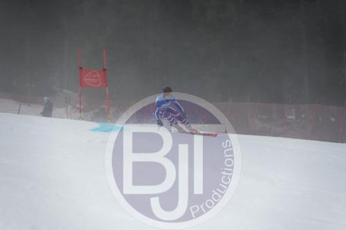 BJT 9743 DxO